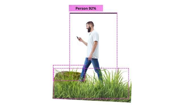 LiveObjectDetection model- a per walking in grass